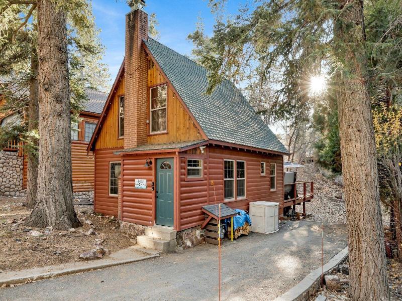 Silvertip Pines #2335 image