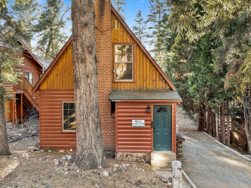 Silvertip Pines #2335 image