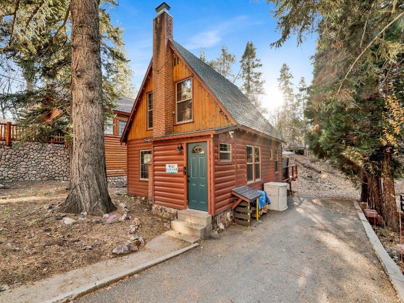 Silvertip Pines #2335 image