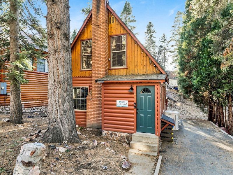 Silvertip Pines #2335 image