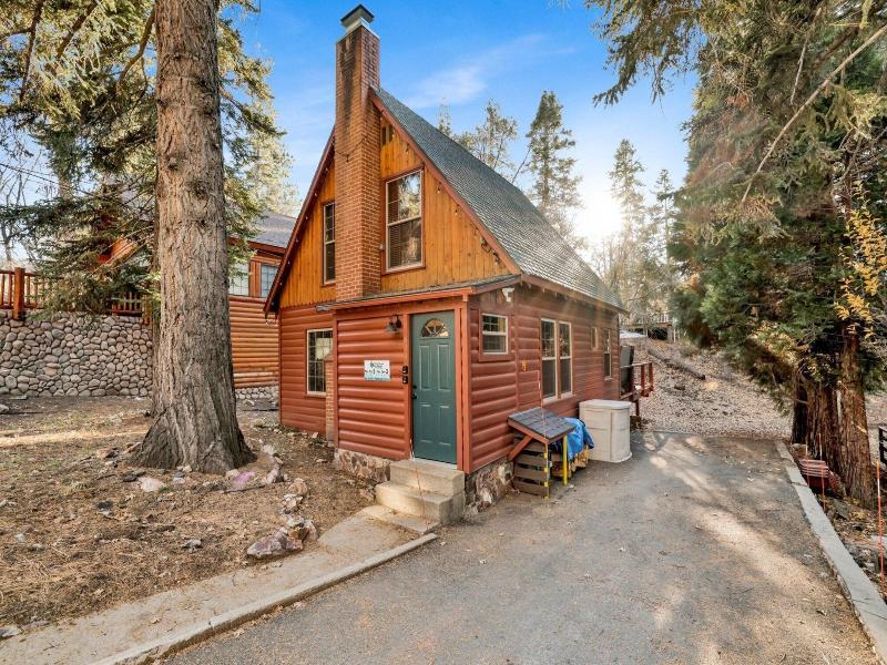 Silvertip Pines #2335 image
