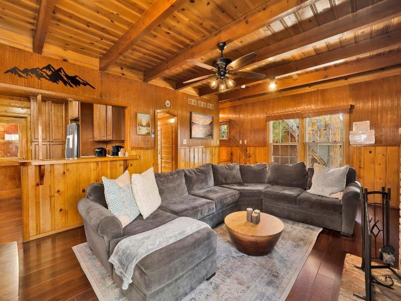 Silvertip Pines #2335 image