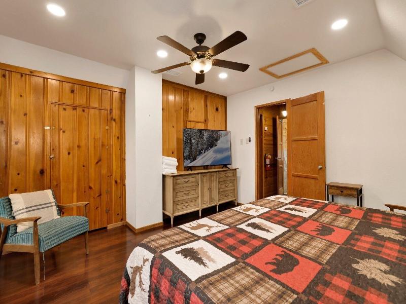 Silvertip Pines #2335 image