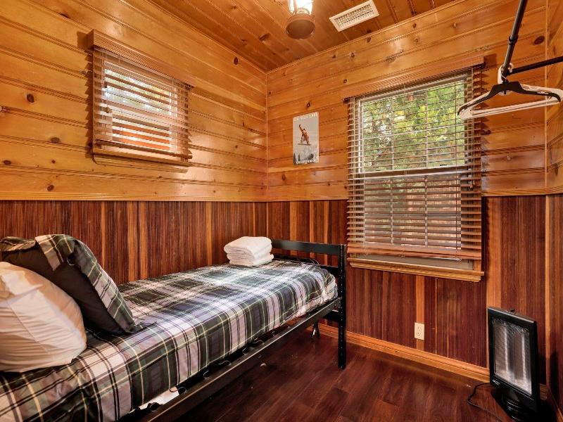Silvertip Pines #2335 image