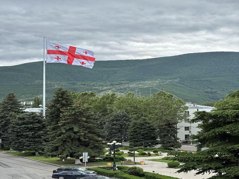Georgia Gold image
