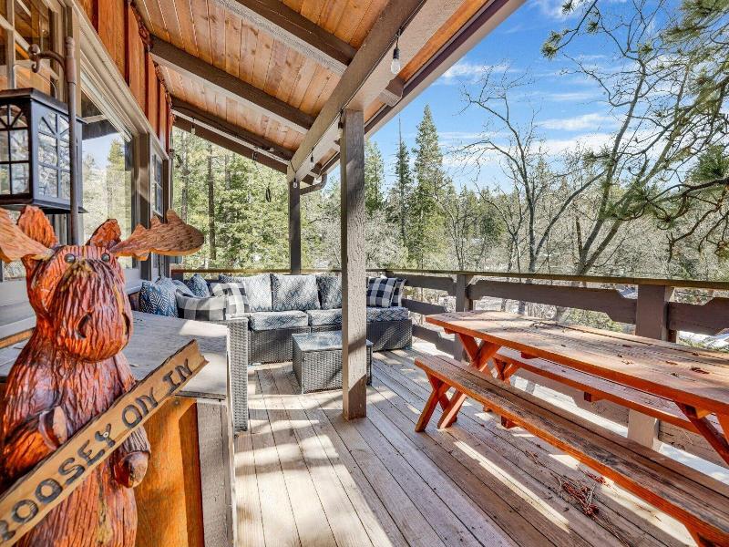 Moose Mountain Manor #2462 image