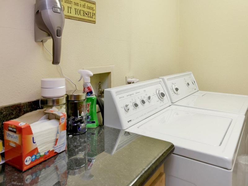 Knotty Bear #1540 image
