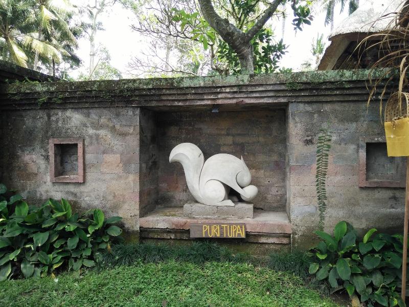 Puri Tupai image