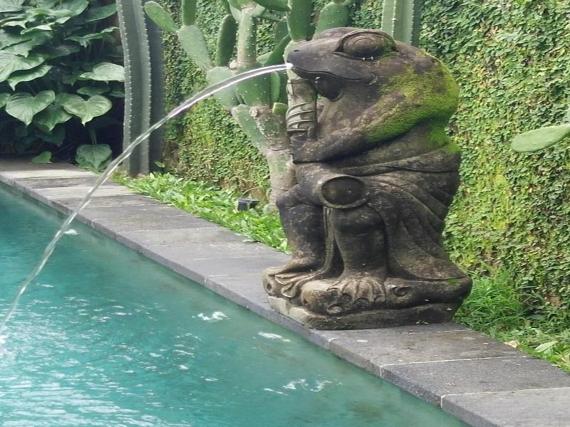 Puri Tupai image