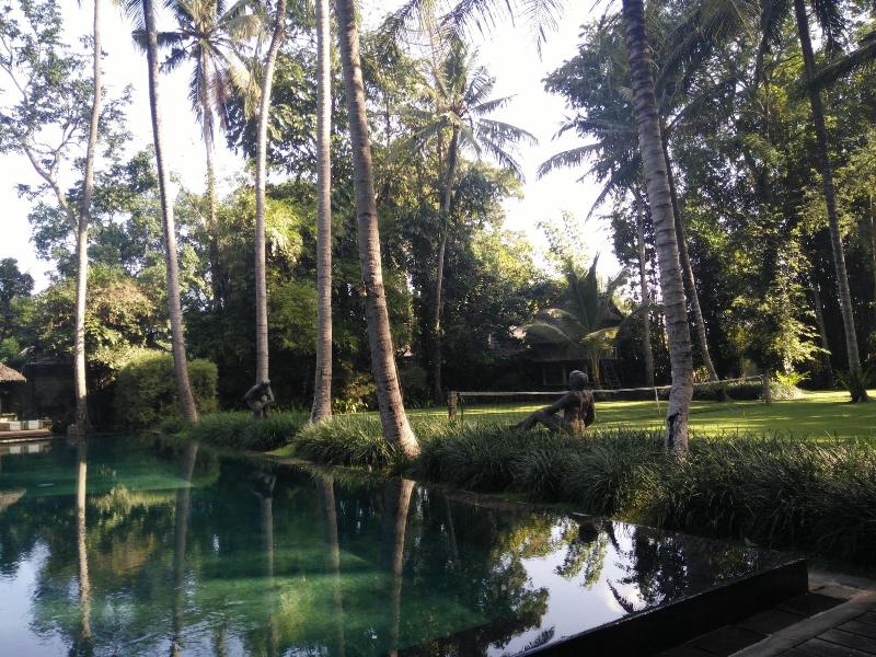 Puri Tupai image