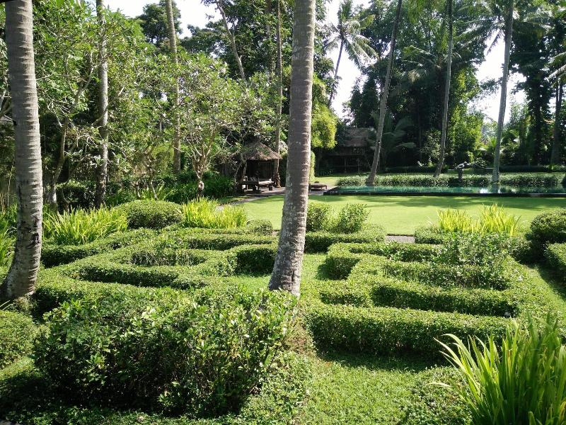 Puri Tupai image
