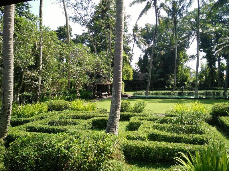 Puri Tupai image