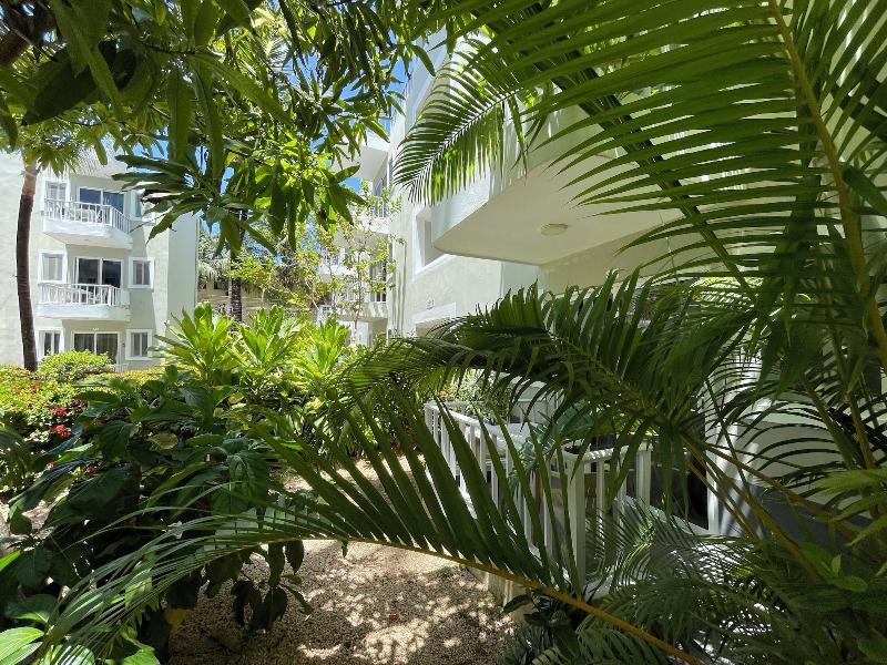 Punta Cana Paradise Studios Beach Pool image