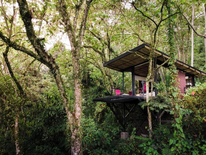 Bio Habitat Hotel, Aken Soul Collection image