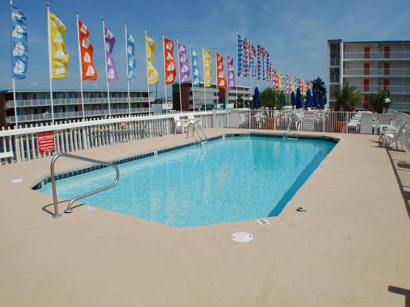 The Spinnaker image