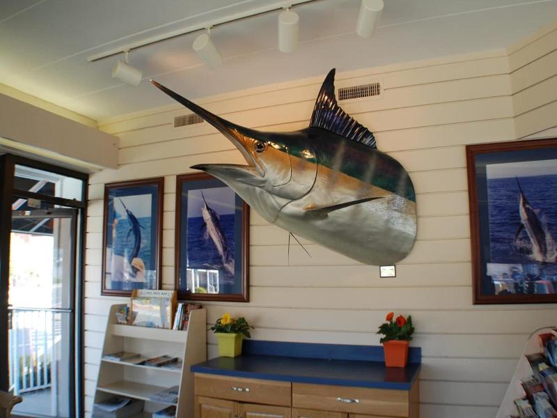 The Spinnaker image