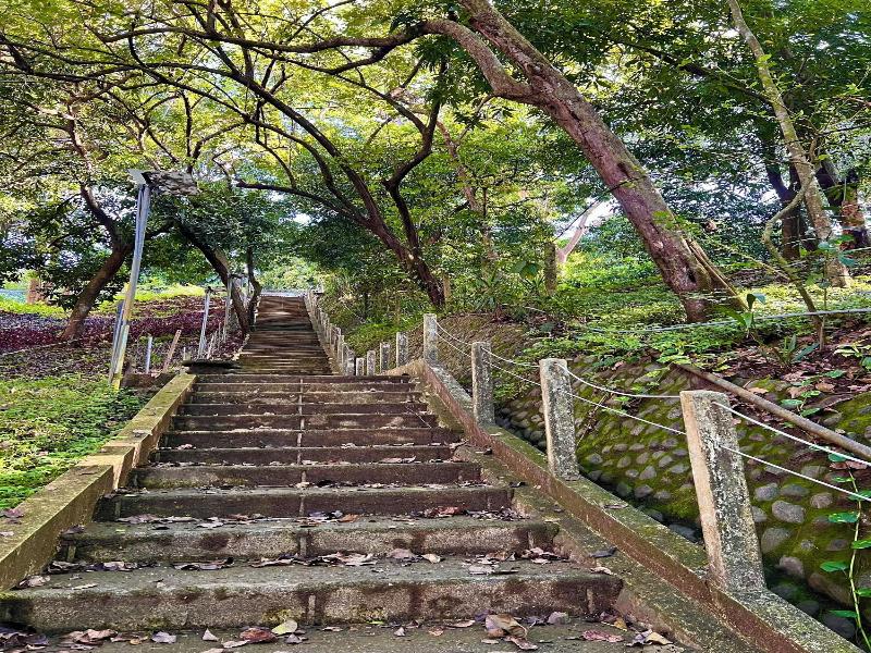 Zen Zaru Beautiful Hidden Hotel