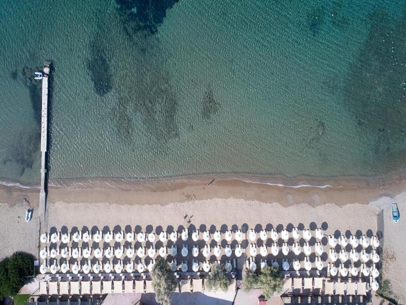 Aegeon Beach Hotel image