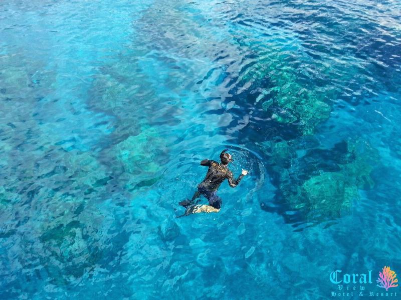 Coral View Hotel & Resort image