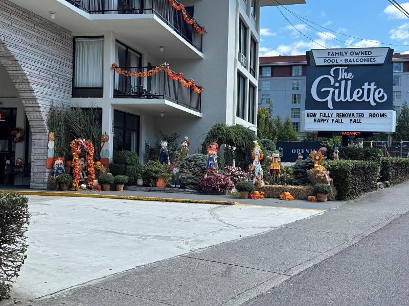 The Gillette image