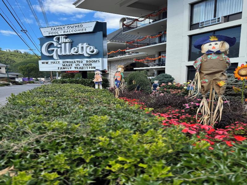The Gillette image