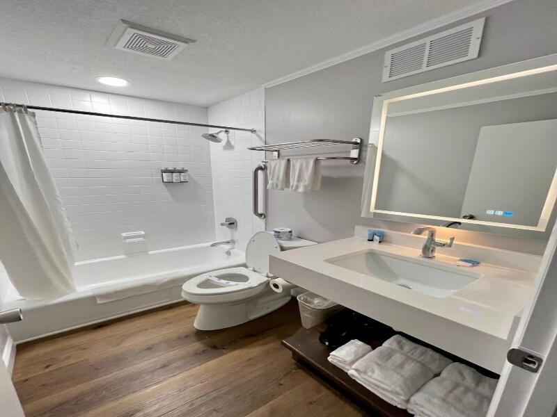 The Gillette image