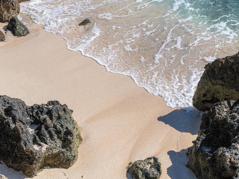 Hotel Indigo Bridgetown Barbados by IHG image