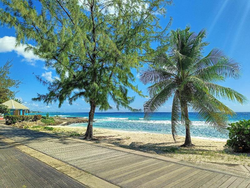 Hotel Indigo Bridgetown Barbados by IHG image