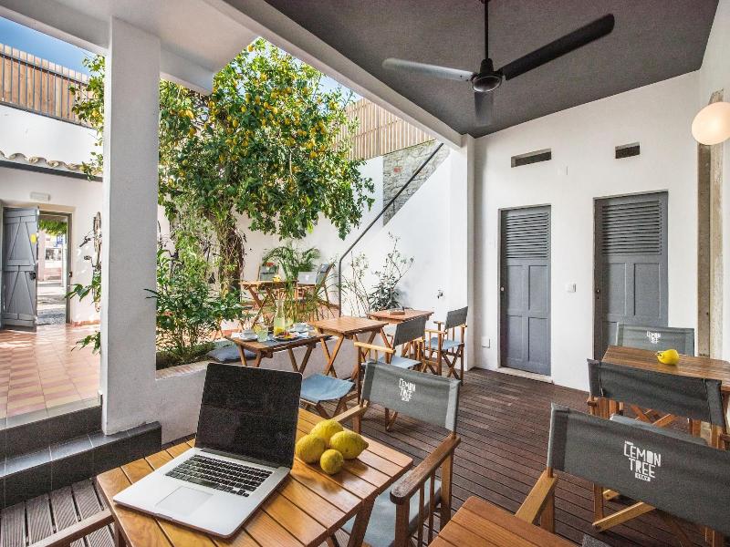 Lemon Tree Stay image