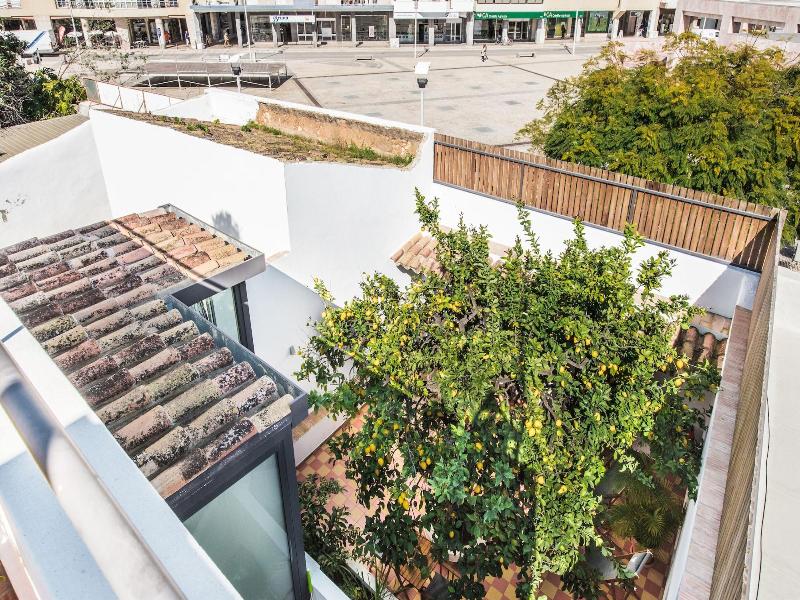 Lemon Tree Stay image