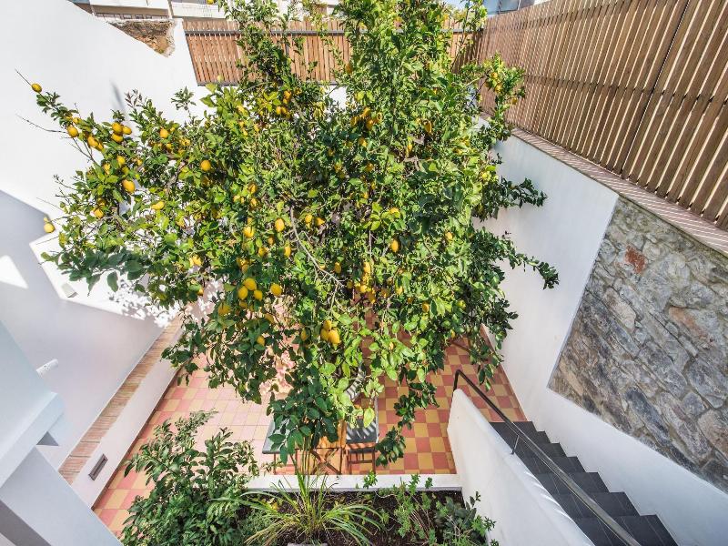 Lemon Tree Stay image
