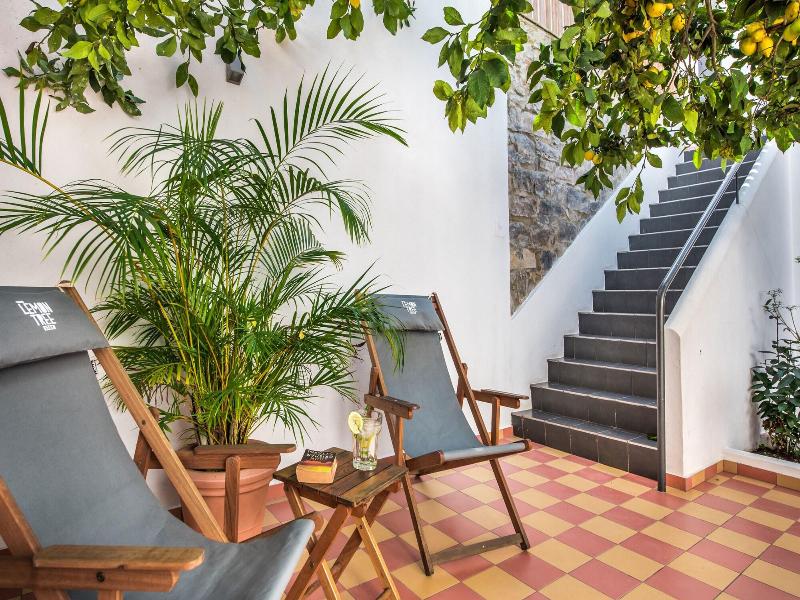 Lemon Tree Stay image