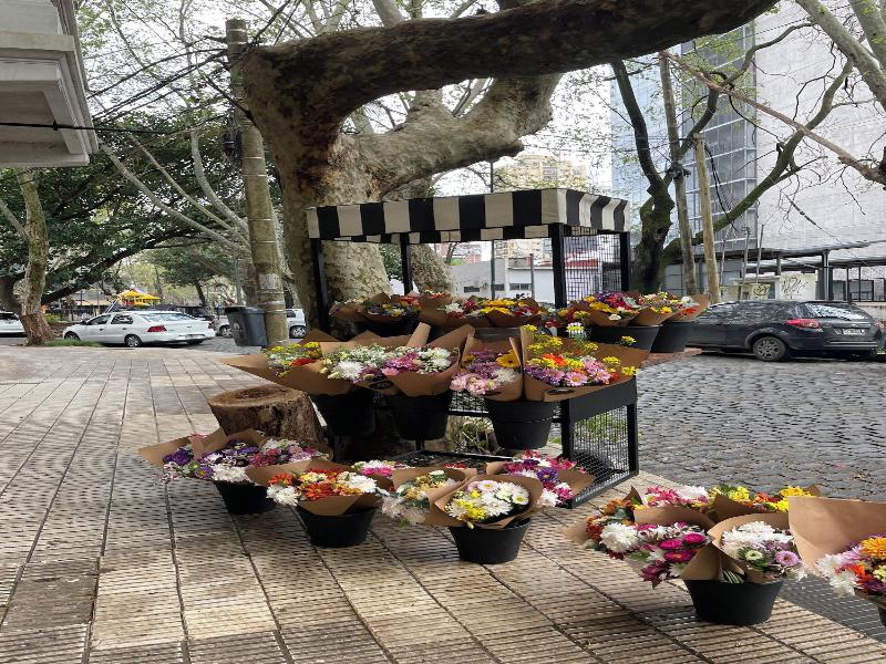 Hotel Vicente Lopez image