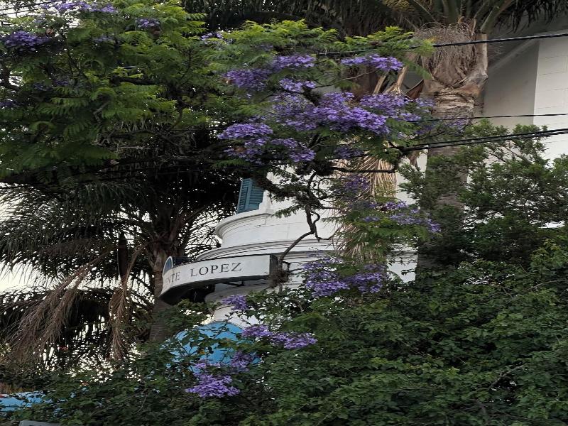 Hotel Vicente Lopez image