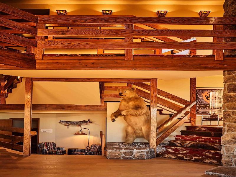 Wandering Buffalo image