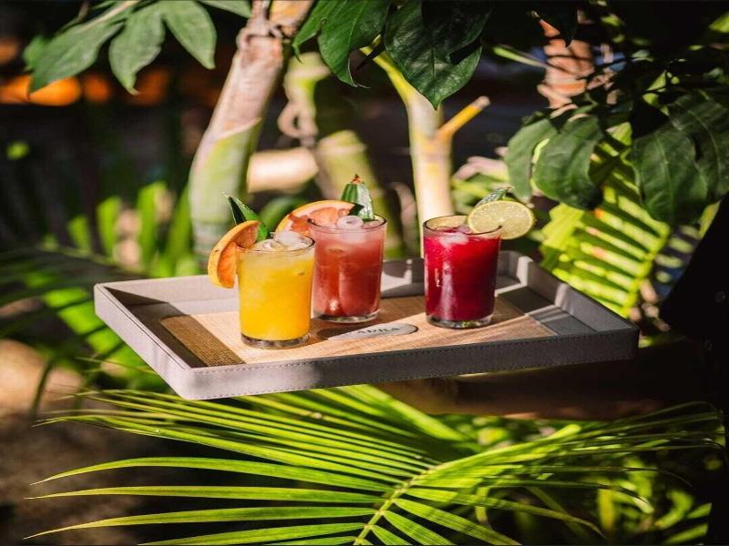 Arka Tulum image