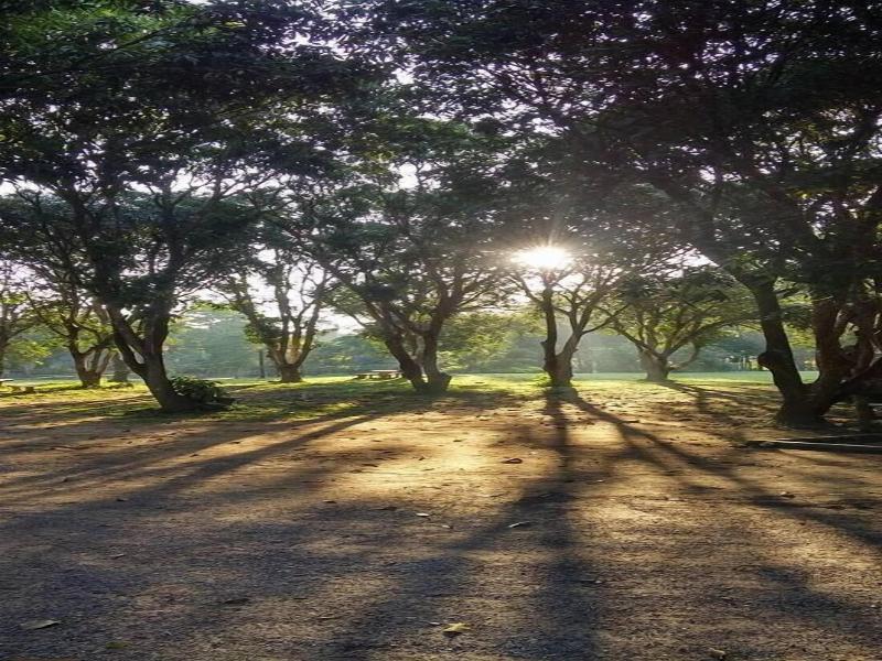 Saksupha Resort image