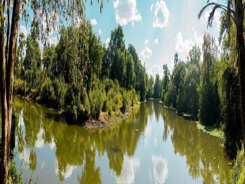 Maramba River Lodge image