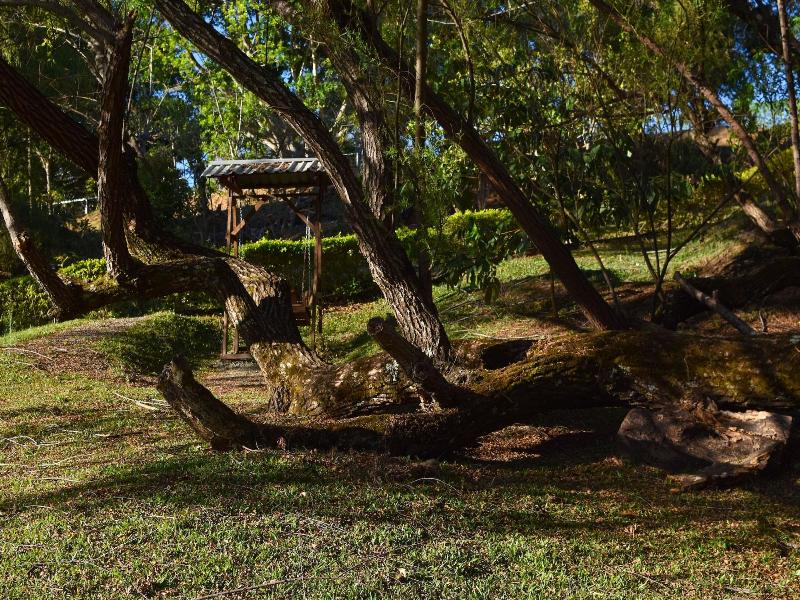 Cabaã±as La Laguna Lodge — general view