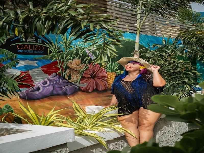 Calizo Vip Guest House image