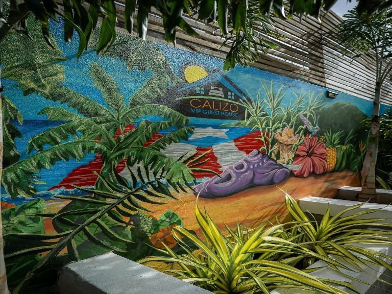 Calizo Vip Guest House image