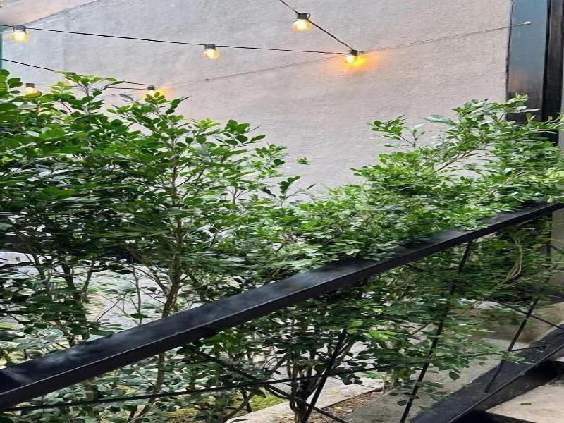 Muuk Boutique Hotel Campestre image