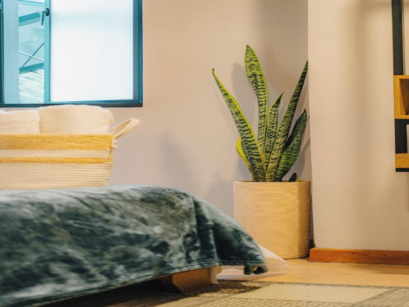 Muuk Boutique Hotel Campestre image