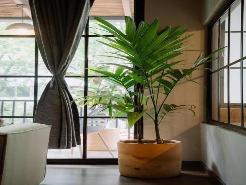 Muuk Boutique Hotel Campestre image