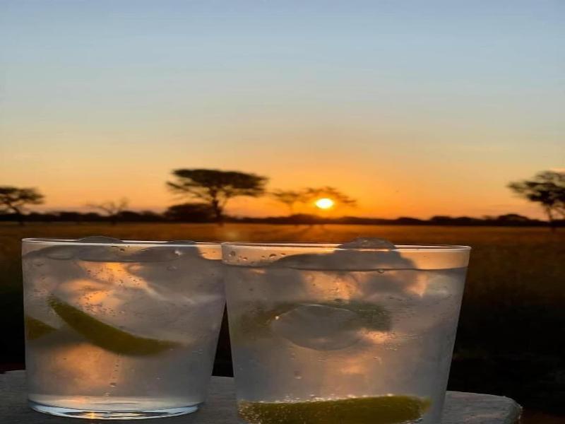 Africa Awaits Lodge