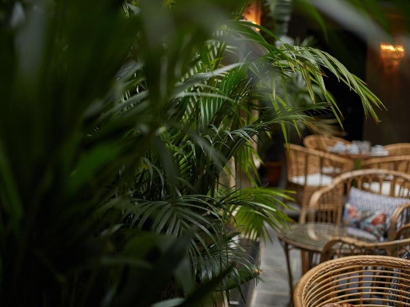 Palma Riad image