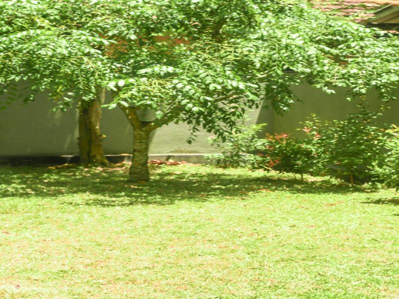 Urban Galle Villa image