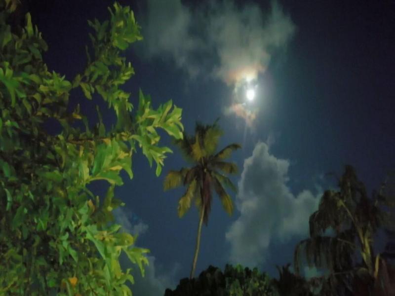 Urban Galle Villa image