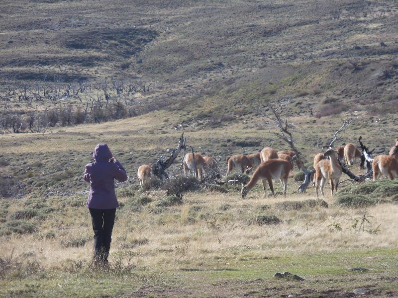 Hotel Del Paine
