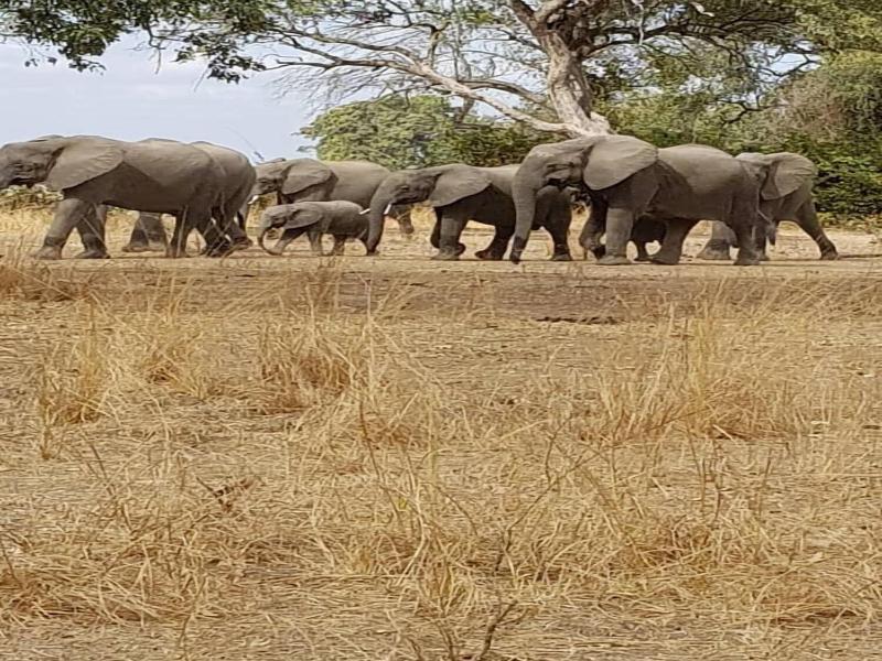 Ngoma Zanga Lodge image